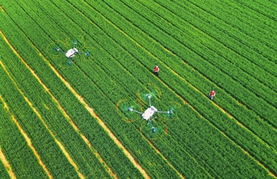 糧食有效供給的保障